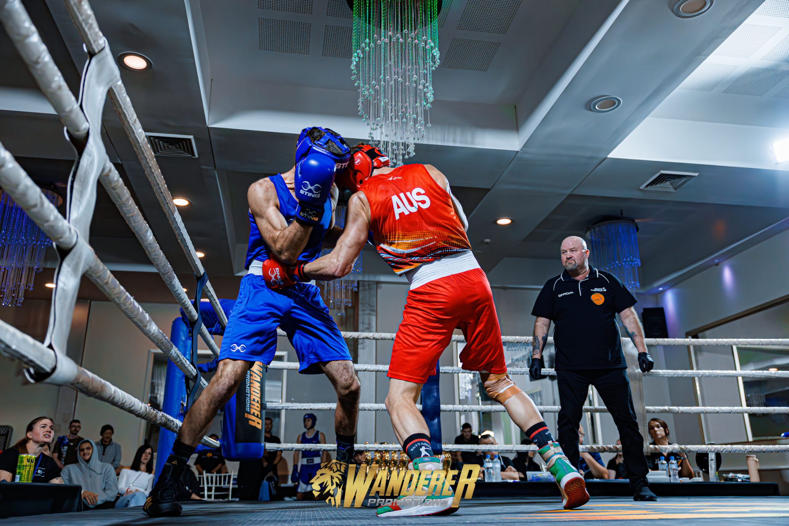 Boxing match image