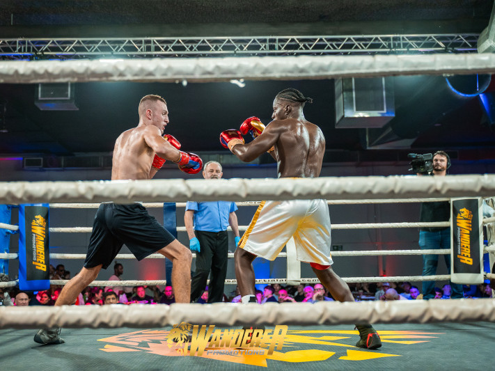 Fight Night